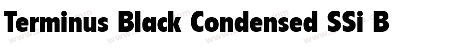 Terminus Black Condensed SSi Bold Condensed字体转换